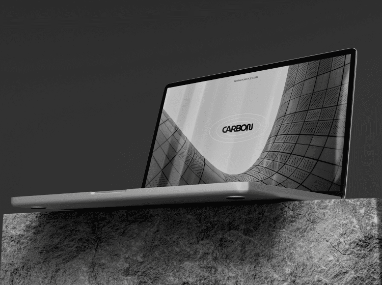 portfolio img 1